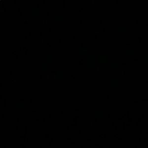 Meet your Posher, Maggie